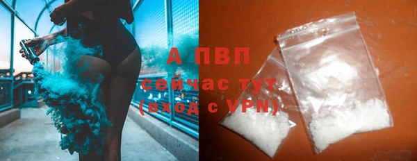 сатива Абаза
