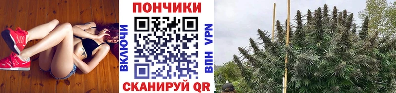 Марихуана планчик  где купить наркоту  Струнино 